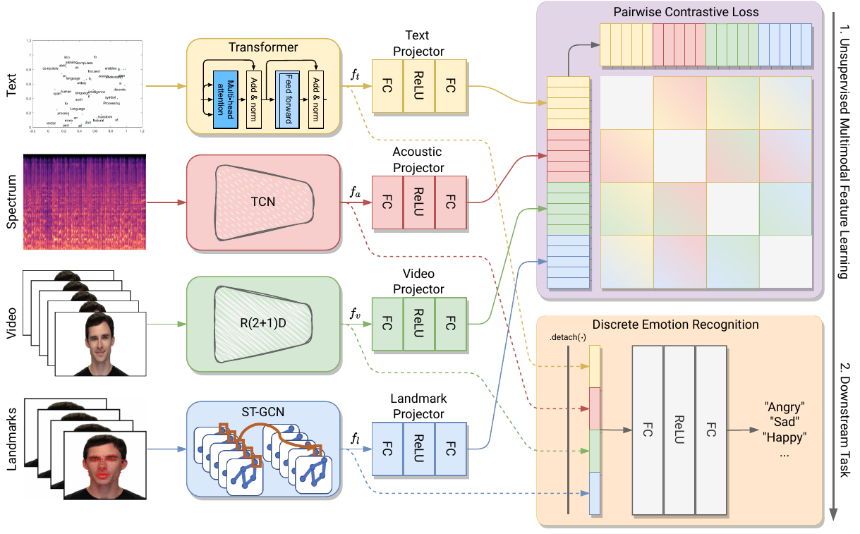 Pairwise Unsupervised Contrastive Learning Architecture